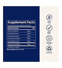 Trace Minerals Beef Organ, 600mg - Bone & Energy Health Support Supplement - Nutritional Supplement Aids Healthy Organs