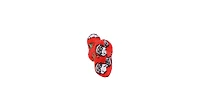 Mighty Medium Bone Christmas, Dog Toy