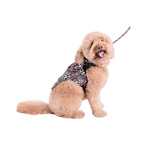 Natori Leopard Raincoat & Harness Set