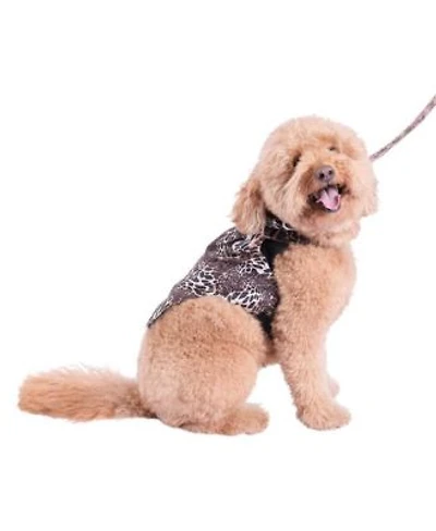 Natori Leopard Raincoat Harness Set L