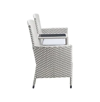 Enitial Star Azur Gray Metal Wicker Patio Conversation Loveseat