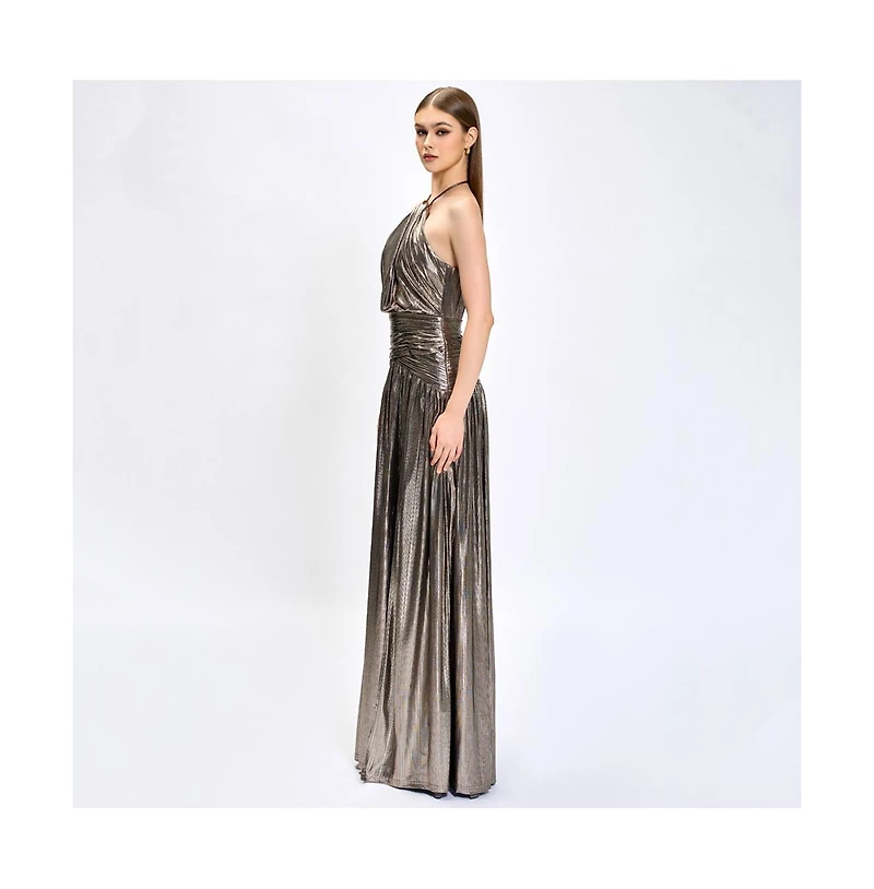 Bariano Women's Aisha Ruched High Neck Gown