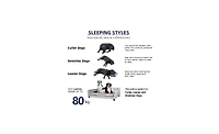 Bingopaw Large Dog Cat Pet Elevated Raised Bed Sofa for All Breed Super Soft Mat Pad