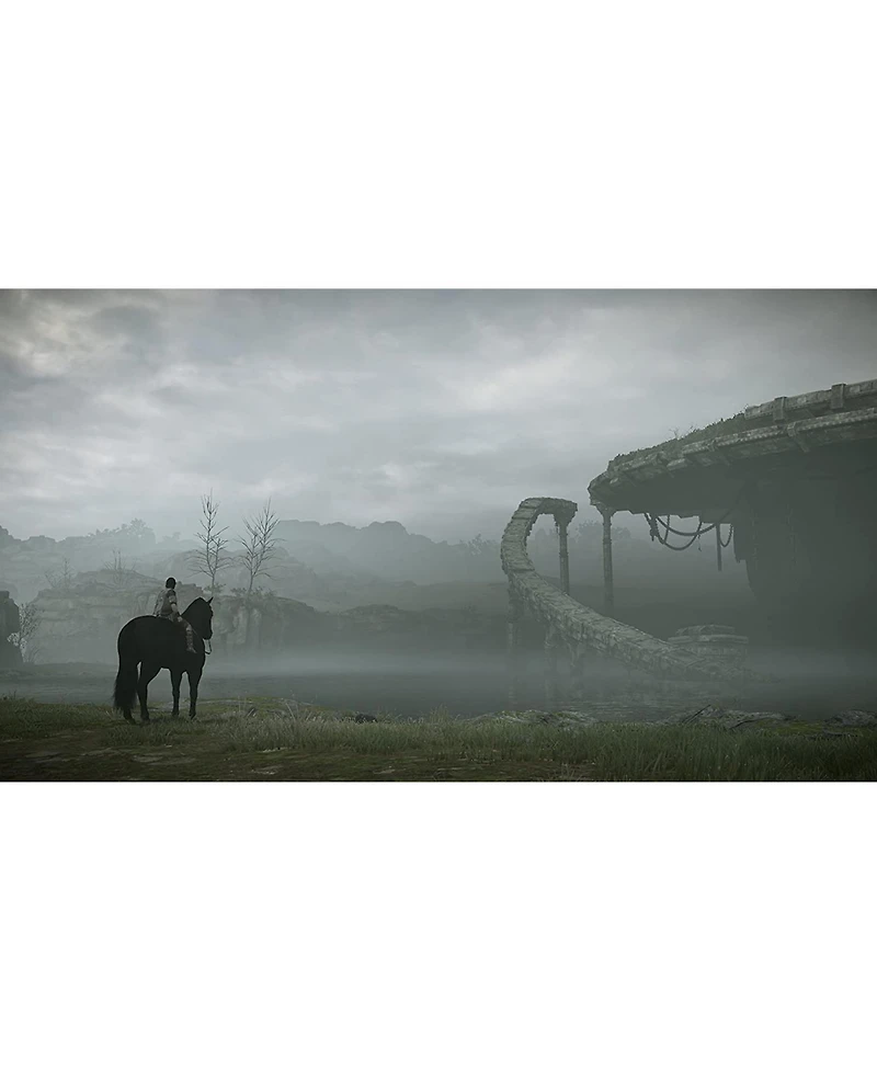 Sony Computer Entertainment Shadow of the Colossus