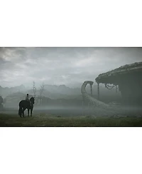 Sony Computer Entertainment Shadow of the Colossus