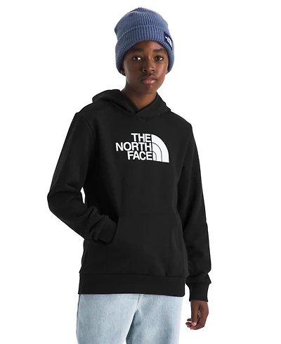The North Face Big Boys Evolution Half Dome Pull On Hoodie