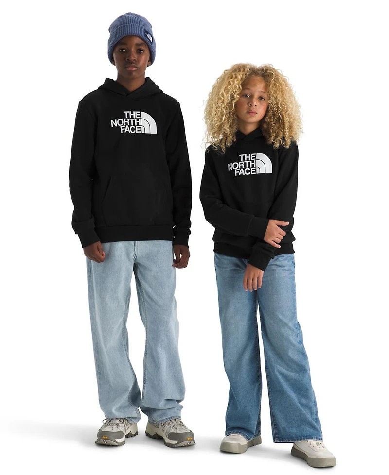 The North Face Big Boys Evolution Half Dome Pull On Hoodie
