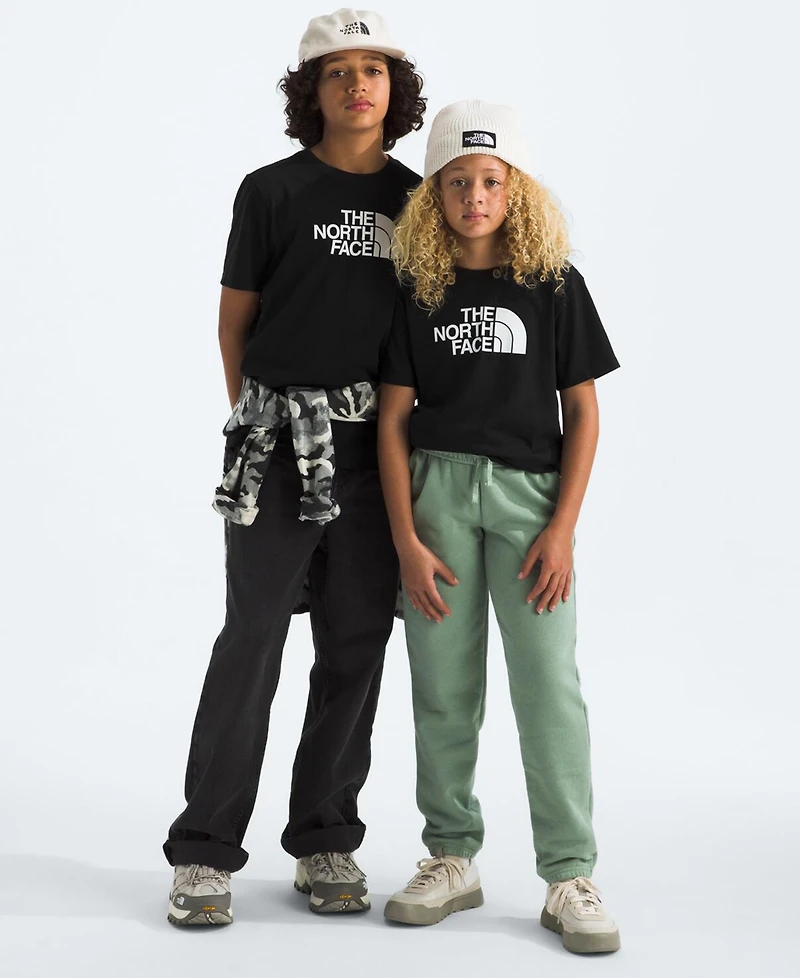 The North Face Big Boys Teen Evolution Half Dome T-Shirt