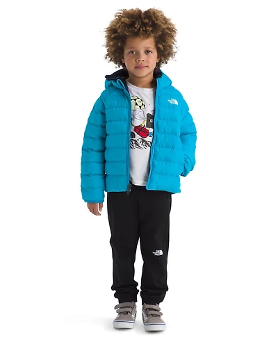 The North Face Toddler and Little Boys Perrito Reversible Hooded Jacket