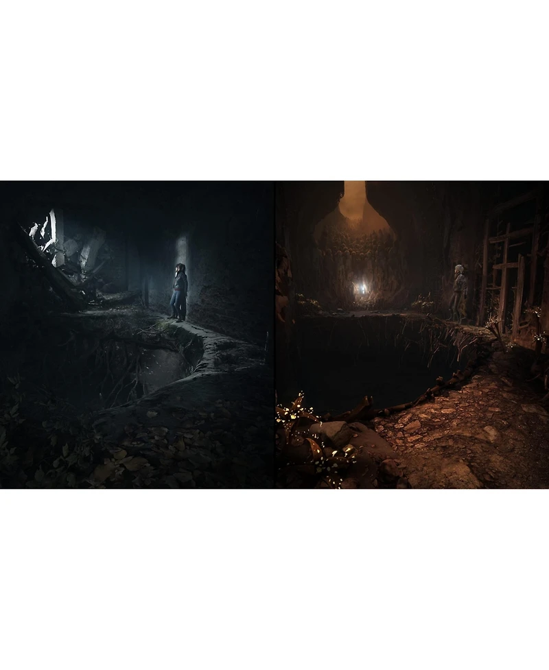 Koch Media The Medium
