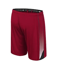 Colosseum Men's Cardinal Stanford Online Shorts