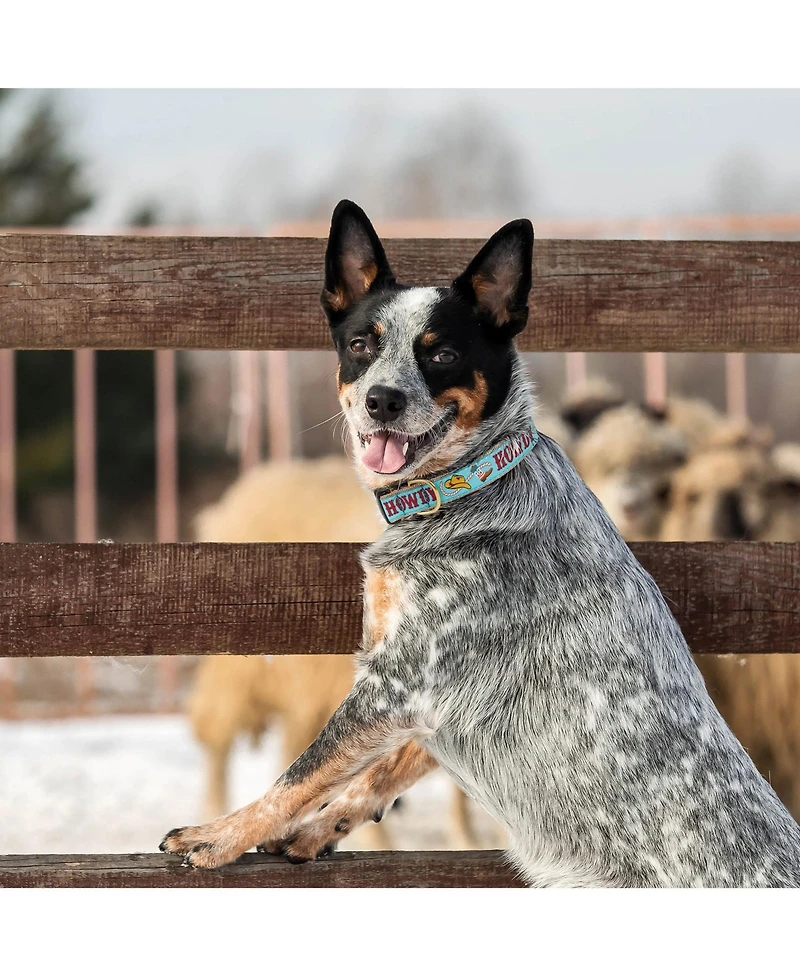 Up Country Howdy Blue Dog Collar