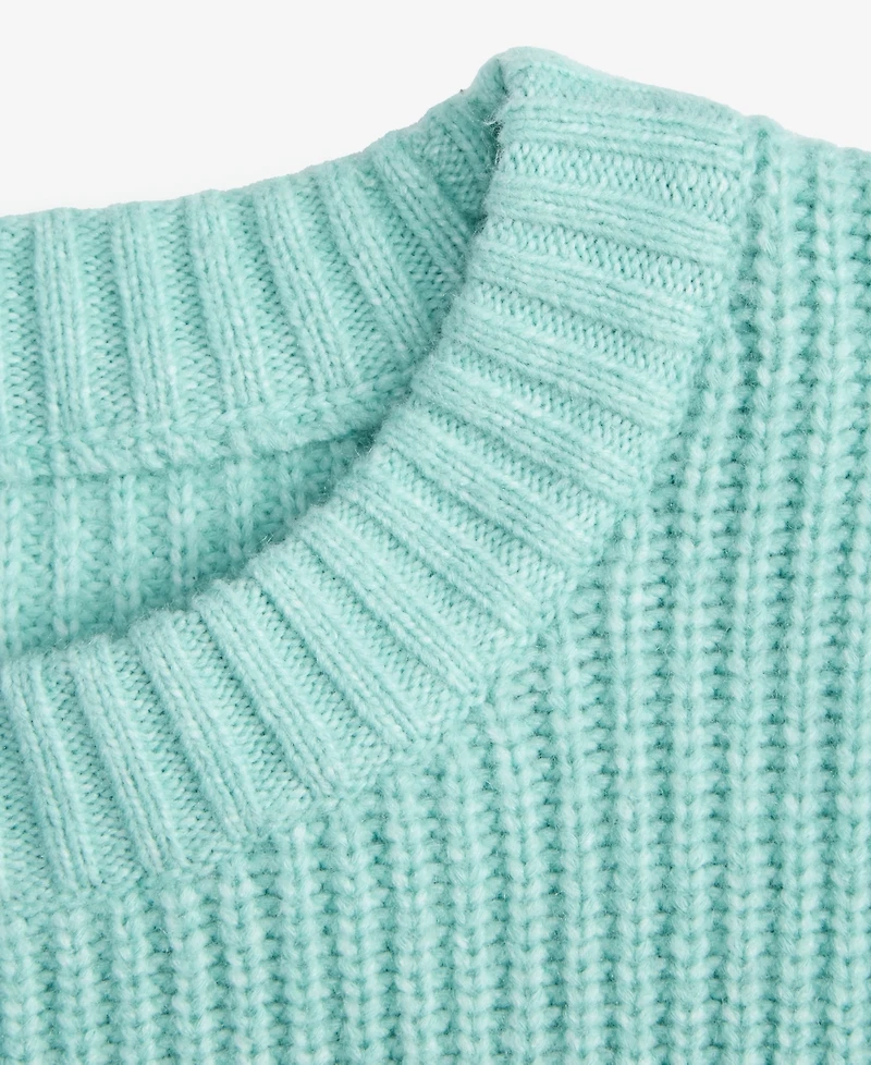 I.n.c. International Concepts Women's Chunky Sweater, Macy's Exclusive
