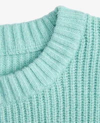 I.n.c. International Concepts Women's Chunky Sweater, Macy's Exclusive