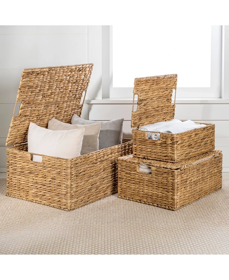 Happimess Brooks Classic Farmhouse Woven Hyacinth Rectangular Storage Baskets with Lids and Handles (Set of 3)