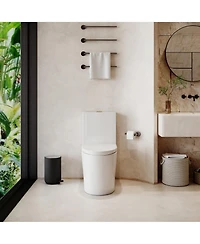 Casainc Dual Flush 1.1/1.6 Gpf Elongated One-Piece One-Piece Bathroom Fixture, Comfort Height, Water-Saving Design, Map 1000g