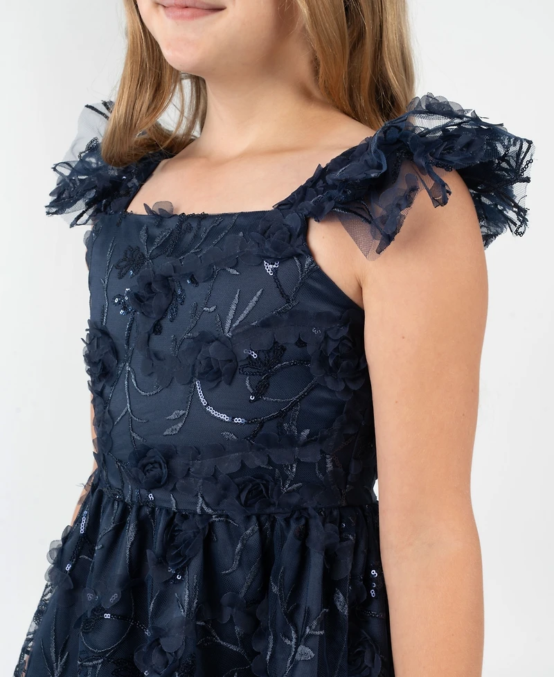 Rare Editions Big Girls 3D Floral Embroider Mesh Social Dress
