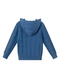 Andy & Evan Toddler Boys Toddler/Child Blue Checkered Hooded Sweater