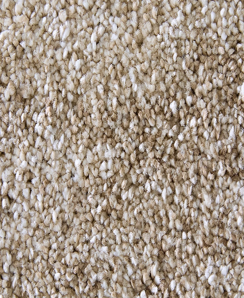 Feizy Jameson 39R8F 1'8"x2'10" Area Rug