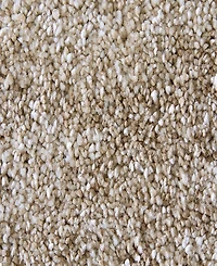 Feizy Jameson 39R8F 1'8"x2'10" Area Rug