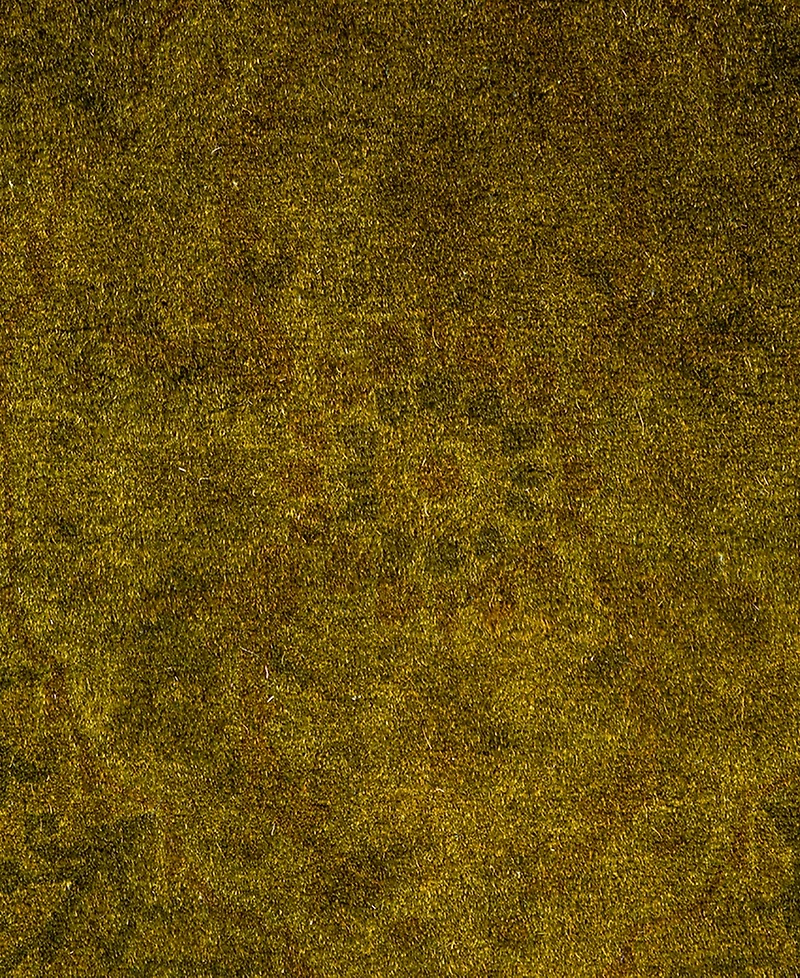 Adorn Hand Woven Rugs Fine Vibrance M1331 2'7"x4'2" Area Rug