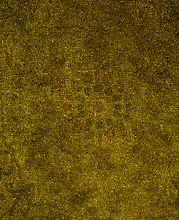 Adorn Hand Woven Rugs Fine Vibrance M1331 2'7"x4'2" Area Rug