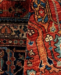 Adorn Hand Woven Rugs Serapi M0103-54 10'x13'9" Area Rug