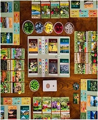 Inside Up Games Maxmie Tardif Earth Board Game