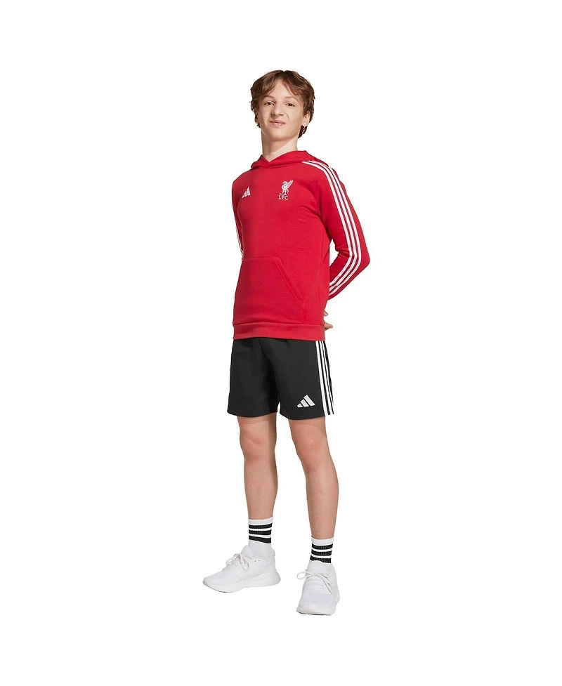 Adidas Big Boys and Girls Red Liverpool Dna Hoodie