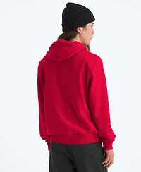The North Face Men's Evolution Half Dome Pull Over Hoodie