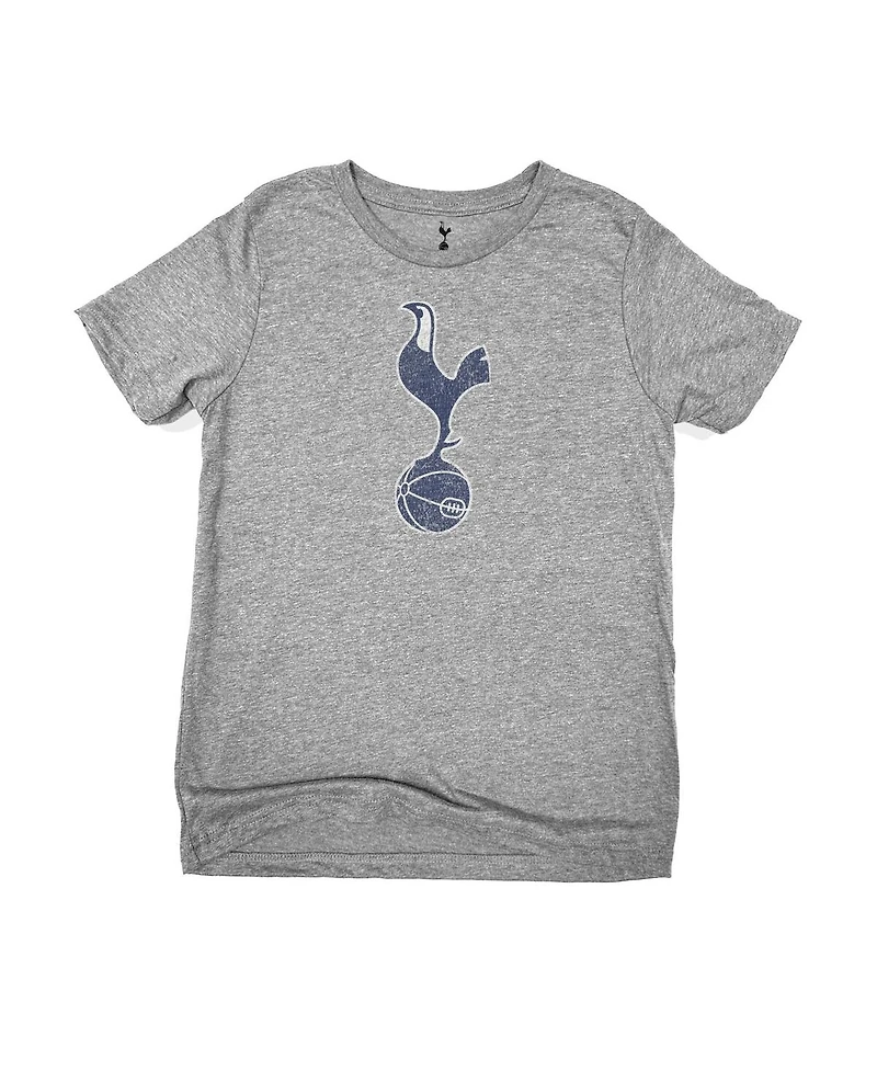 1863FC Big Boys and Girls Heather Gray Tottenham Hotspur Full Color T-Shirt