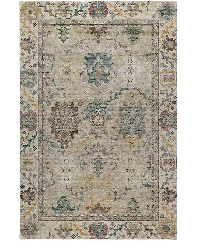 Dalyn Silk Road Washable SR5 10'x14' Area Rug