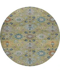 Dalyn Silk Road Washable SR3 8'x8' Round Area Rug