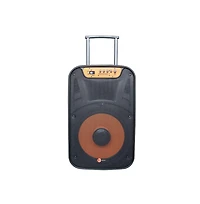 RadioShack 120W 15 inch Party Tower Pa Speaker with Lights, Fm Radio, and Rechargeable Battery and Wheels For Mobility 4001945
