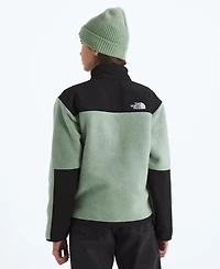 The North Face Big Boys Denali Fleece Jacket