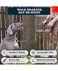 Puppington Reflective Leash