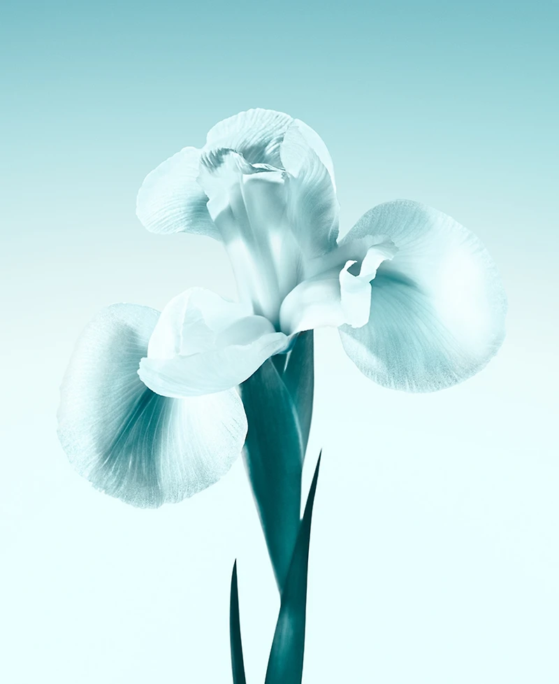 Tiffany & Co. 3-Pc. Eau de Parfum Holiday Gift Set