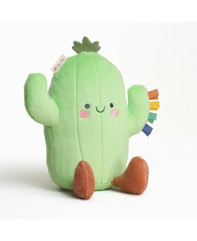 Itzy Ritzy Baby Sweetie Snuggles Cactus