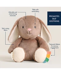 Itzy Ritzy Baby SweetieSnuggles Bear