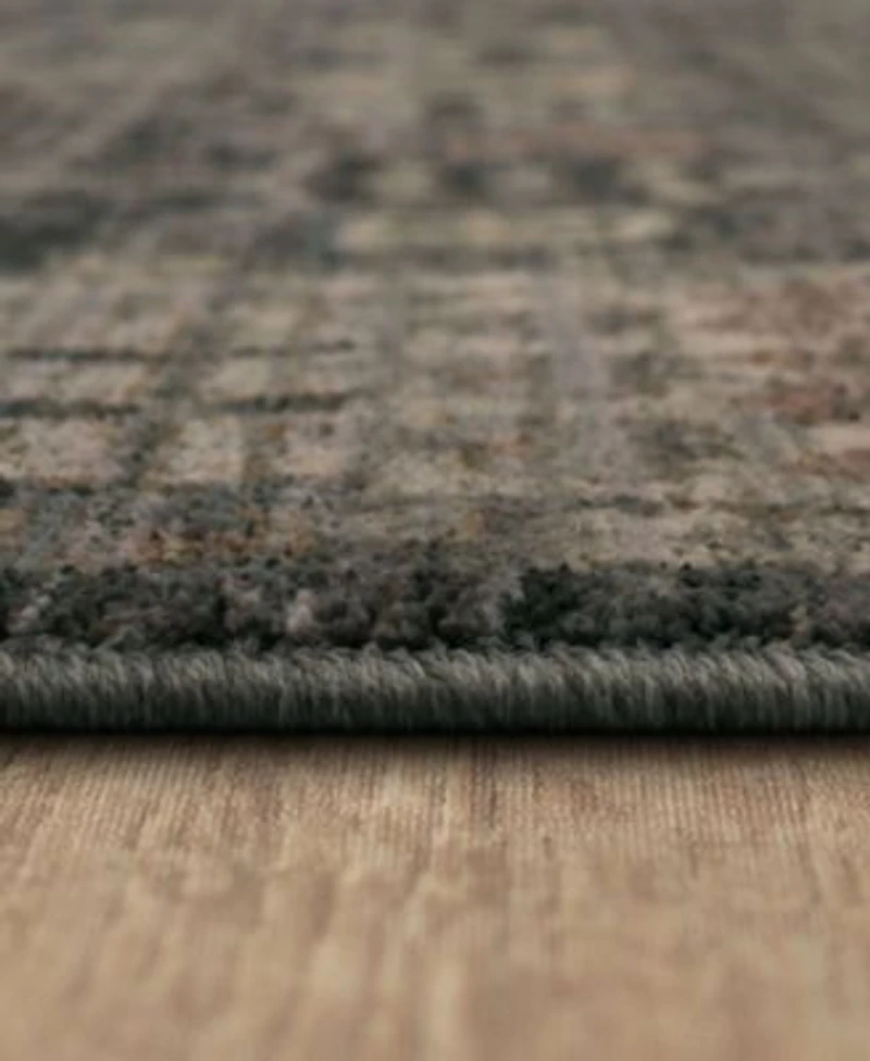 Karastan Echo Grasole Area Rug