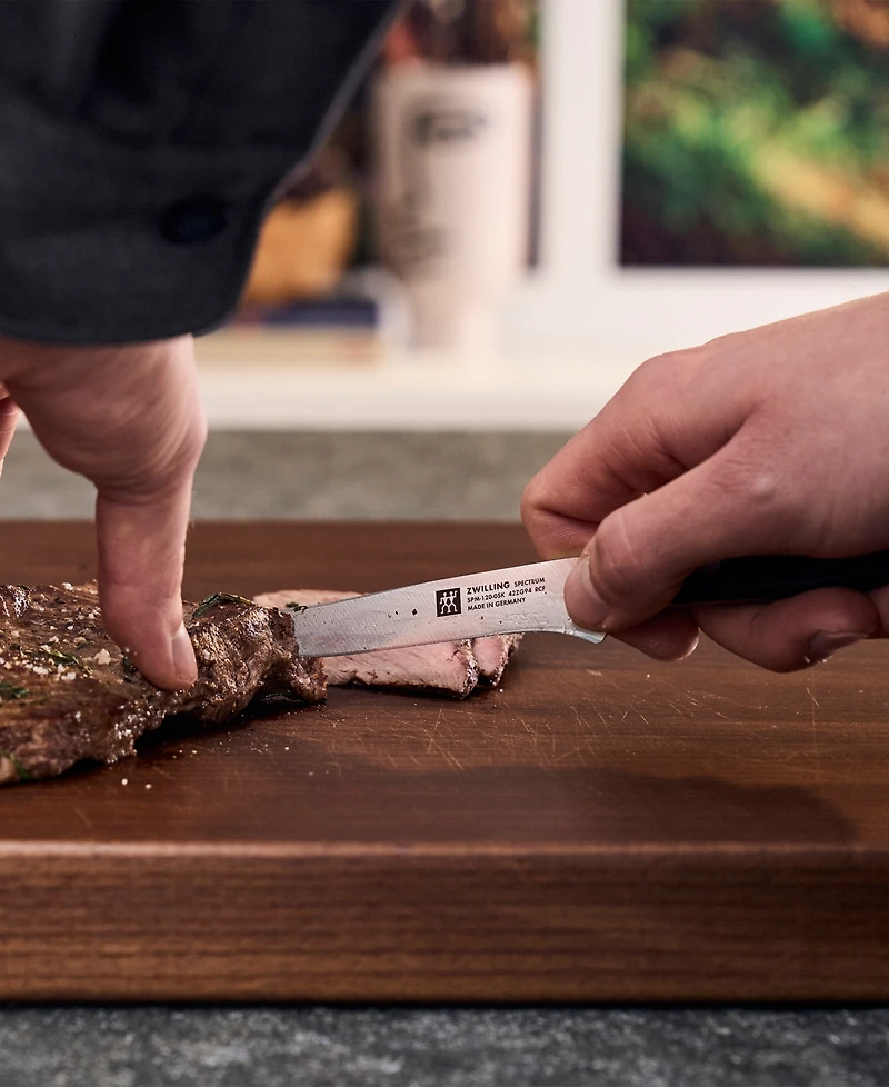 Zwilling Spectrum 4-Pc. Steak Knife Set