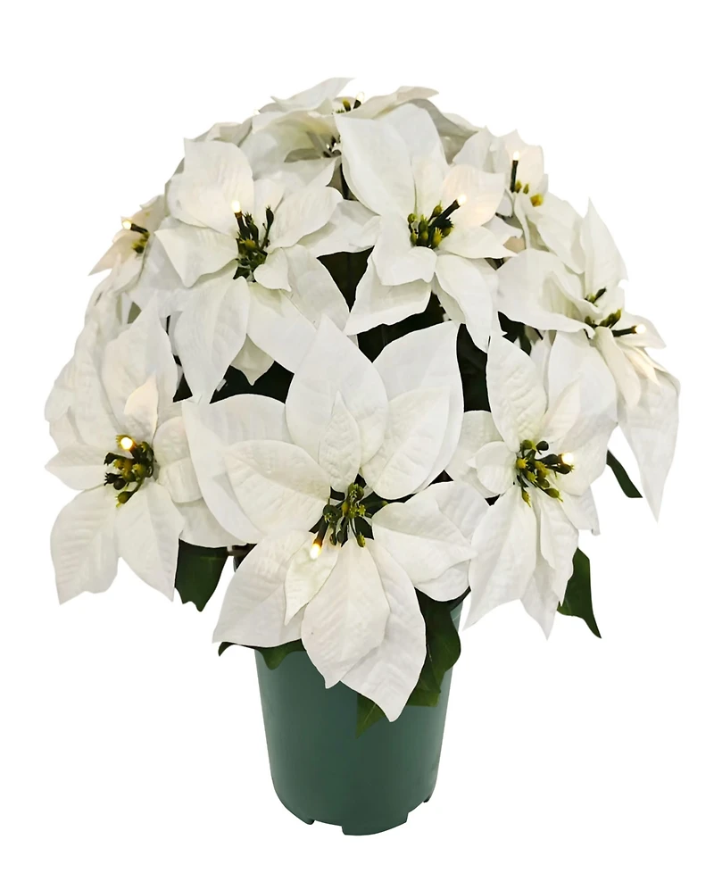Puleo 22" Pre-Lit Artificial Potted White Poinsettias