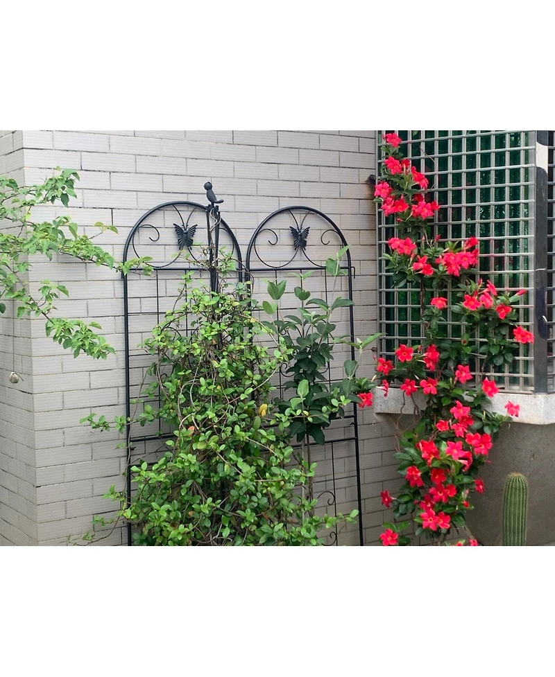 Streamdale Furniture Metal Garden Trellis 2-Pack for Climbing Plants
