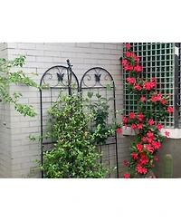 Streamdale Furniture Metal Garden Trellis 2-Pack for Climbing Plants