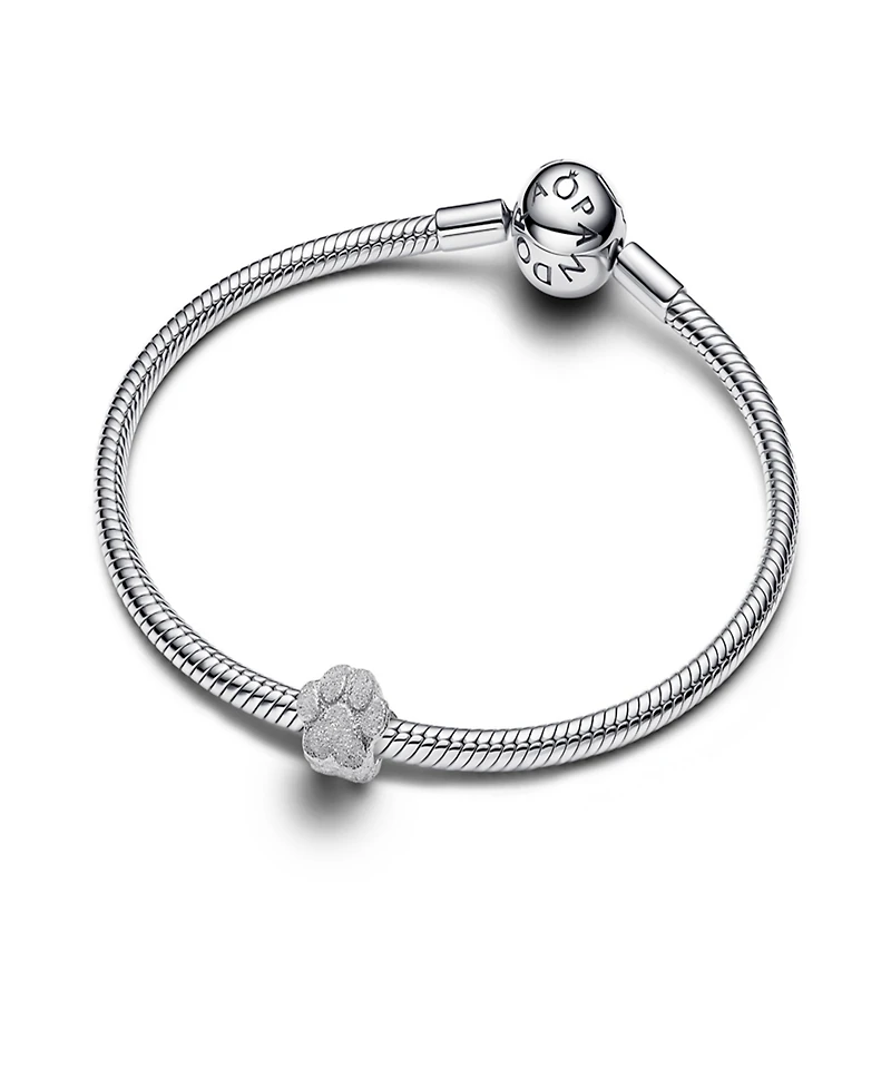 Pandora Sterling Silver Textured Paw Mini Charms
