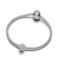 Pandora Sterling Silver Textured Paw Mini Charms