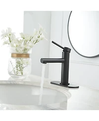 Greenspring Single Hole Single-Handle Bathroom Faucet in Matte Black