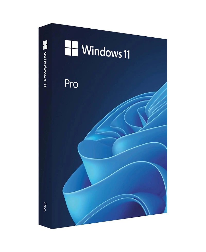 Microsoft Windows 11 Professional 64-Bit, Single License, Usb Flash Drive