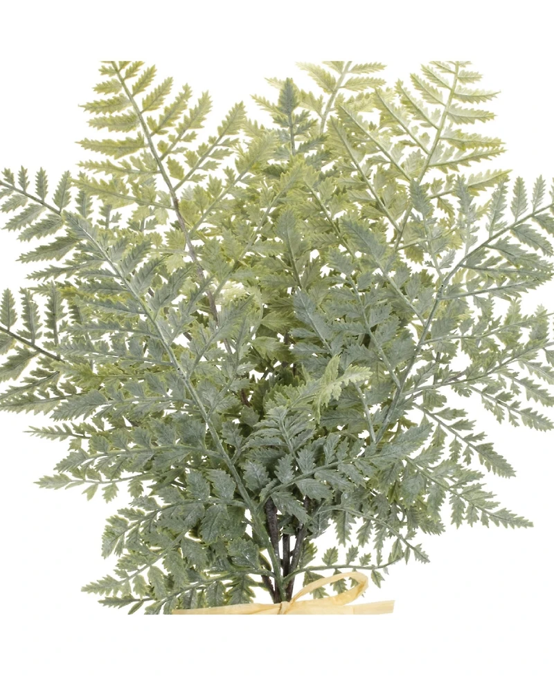 Fern Bundle for Natural and Elegant Holiday and Home Decor (Set of 2)