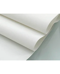 Shadisfy Solar Cordless Roll Up Shade 34x72"